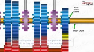 How Car Transmission System Works [upl. by Oiceladni]