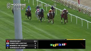 Woodbine May 31 2019  Race 2 [upl. by Flam]