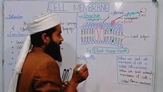 Cell Membranestructure function of plasma membrane 9th biology  Chap4 Lec6  fluid mosaic model [upl. by Addam]