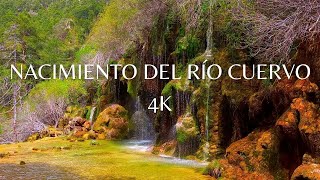 NACIMIENTO DEL RIO CUERVO 4K  MONUMENTO NATURAL EN CUENCA [upl. by Firehs442]