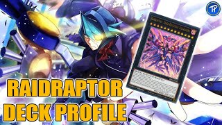 RAIDRAPTOR DECK PROFILE  NOVEMBRE 2024 [upl. by Alin]