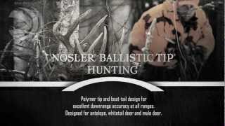 Bullet Performance Federal Premium Nosler Ballistic Tip Hunting [upl. by Nancee]