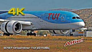 Boeing 787 Dreamliner TUI GTUIB quotAlfiequot Back [upl. by Ettelohcin]