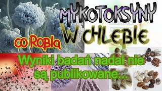 CO ROBIĄ MYKOTOKSYNY W CHLEBIE WYNIKI BADAŃ NADAL NIE SĄ PUBLIKOWANE [upl. by Atiloj]