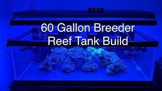 New Reef Tank Build 60 Gal Breeder with ATI T5 and Reef Brite Blue XHO Saltwater Coral Aquarium [upl. by Gnanmos801]