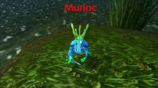 The Murloc Sound [upl. by Silvie]