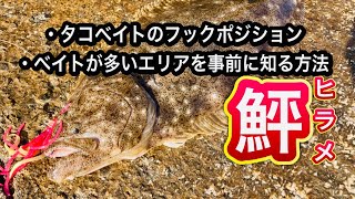 【ショアラバ】ベイトの動きを知り堤防からヒラメを釣る 【石川県 釣り】 [upl. by Lletnuahs408]