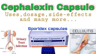 Cephalexin capsule usedosesideeffects  Sporidex Capsules  Cephalexin antibacterial  drx rohit [upl. by Penrod]