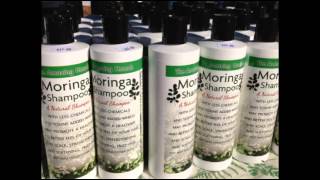 Moringa Shampoo [upl. by Sikata]