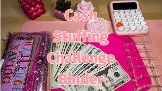 Cash Stuffing CHALLENGES [upl. by Innis]