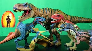 Jurassic world Hammond collection dinosaurs dinosaur toy unboxing T Rex Ceratosaurus concavenator [upl. by Aneekat]