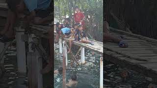 Mancing Bandeng Empang Sembilangan Mantaapmancing ikan bandeng empang sembilangan viralvideos [upl. by Nostrebor]