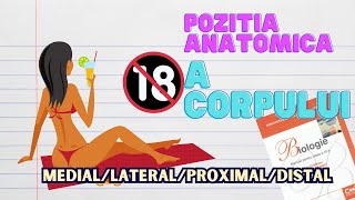 Pozitia Anatomica Pentru Medicina Medial vs Lateral [upl. by Fiedler]