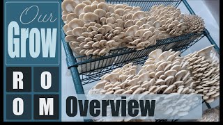 Grow Room Overview 20  How To Grow Mushrooms [upl. by Airdnaed]