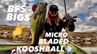 NEW Finesse Bladed Jig RIPS Bait Finesse Staples Destroy BIG FISH [upl. by Pump696]