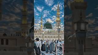 Hashr Me Sarkar ﷺ Aana Naat WhatsApp Stetus youtubeviralvideo naatstateus shorts reels virl [upl. by Adnorrehs]