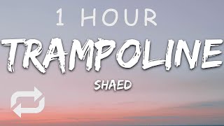 1 HOUR 🕐  SHAED  Trampoline Lyrics [upl. by Rossuck783]