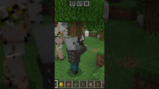 minecraft minecraftgameplay [upl. by Aruam]