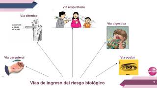 Capacitación Riesgo Biológico [upl. by Koorb984]