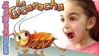 La Cucaracha Hexbug Nano Juego de mesa con Andrea Cockroach in the kitchen [upl. by Daph]