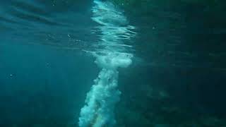 Cliff jumping in Crystal Lagoon Malta Comino island [upl. by Christoffer]