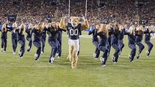 Everyone Is Going Crazy Over This College Mascots Dance Moves [upl. by Mirilla]