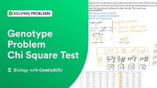 GeeklyHub Solving Genotype Problem  Chi Square Test  Genetics GeeklyEDU [upl. by Niwde]