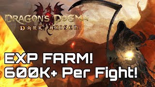 Dragons Dogma EXP Farm 600k Per Fight [upl. by Esimehc]