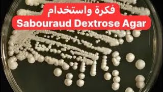 فكرة واستخدام Sabouraud Dextrose Agar [upl. by Codee]