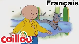 Caillou en FRANÇAIS Docteur Caillou  conte pour enfant  Caillou en Français [upl. by Anaeco]