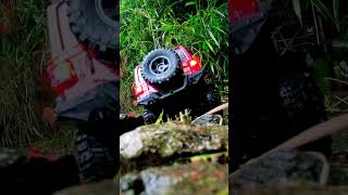 Jeep RC Trail Action jeep rccar rcjeep jeeprubicon fms easyrc [upl. by Varien891]