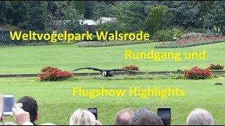 Weltvogelpark Walsrode  Rundgang und Flugshow Highlights [upl. by Batholomew]