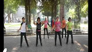 Latin Lover  Line Dance  Misuk la [upl. by Sirrep]