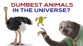 Dumbest Animals in the Universe [upl. by Lipps]