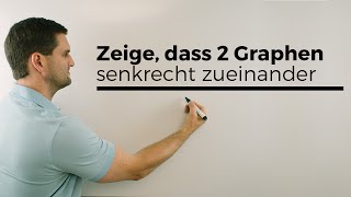 Zeige dass sich 2 Graphen senkrechtorthogonal schneiden  Mathe by Daniel Jung [upl. by Alleynad406]