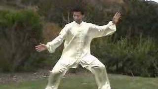 Wu Tai Chi Taiji [upl. by Llennoj]