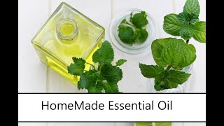 How To Make Peppermint Oil For Cooking [upl. by Haymo]