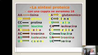 Itinerario di biologia la sintesi proteica1 [upl. by Jamel]