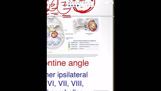 Cranial Nerves  Part 6 [upl. by Yrruc]