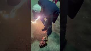 Ye dekho guy’s super fast crackers crackers fireworks patakhe vlogs shortsfeed viralvideo [upl. by O'Meara]