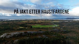 På jakt etter haustfargene [upl. by Adnuahs89]