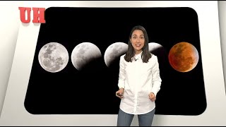 Calendario lunar cuándo es mejor cortarse el pelo [upl. by Refannej]