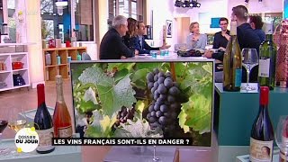 Dossier du Jour  Les vins français sontils en danger [upl. by Barnaby]