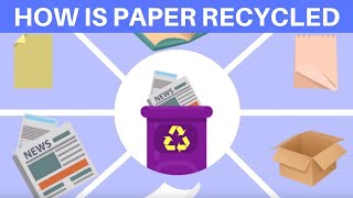 How Is Paper Recycled [upl. by Dnob]