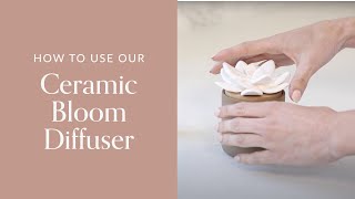 How To Use Our Ceramic Bloom Diffuser [upl. by Storfer667]