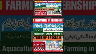 Punjab Shrimp Farming Internship Program 2024 farming agriculture shorts youtubevideo fishing [upl. by Ahseinat]