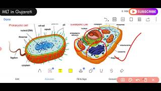 Microbiology L1 in Gujarati GPSSB Laboratory technicianBscMsc [upl. by Enomahs]