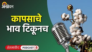 Cotton Soybean Market कापूस बाजारभाव सोयाबीन भाव मका बाजार केळी दर  Agrowon [upl. by Nytsirc]