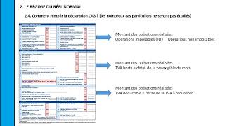 DELTA  Déclaration de la TVA CA3 [upl. by Naus]