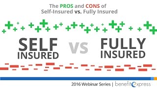 The Pros and Cons of Self Insured vs Fully Insured [upl. by Haela]